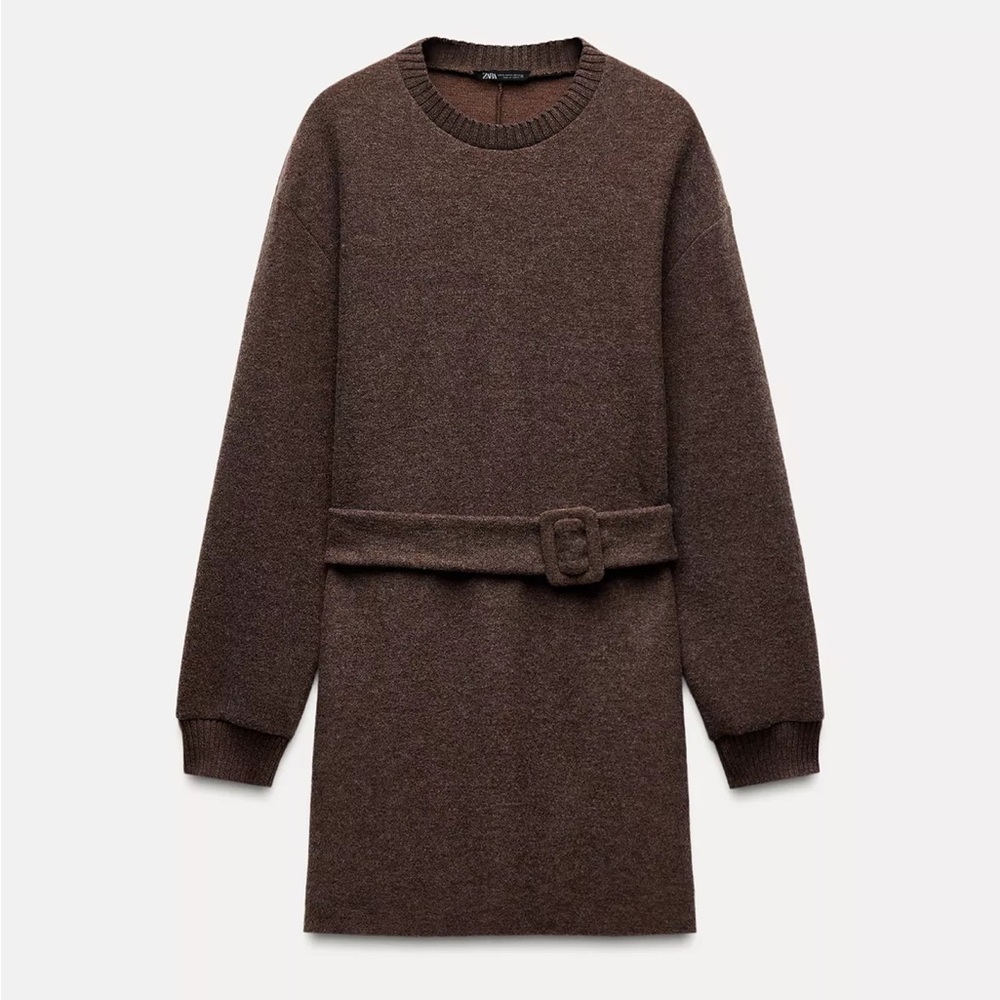 Zara Brown Mini Dress